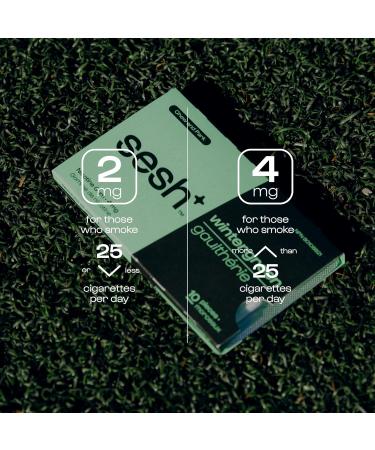 Sesh+ Quit Smoking Aid Nicotine Gum smoking cessation aid 4mg Wintergreen 60 Pieces 6 Pack - Buy Online on GoSupps.com