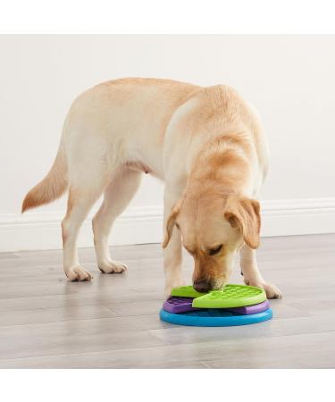 Outward Hound Nina Ottosson Lickin' Layers Interactive Dog Puzzle Game and Slow Feeder - Buy Online on GoSupps.com