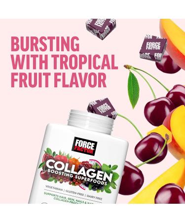 Force Factor Collagen Boosting Superfoods Vegan Collagen Booster for Women with Biotin Hyaluronic Acid and Vitamin C for Hair Skin Nails & Joint Support Tropical Fruit 60 Soft Chews 1 Pack Soft Chews - Buy Online on GoSupps.com