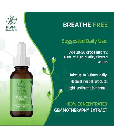 Plant Stem Cells Gemmotherapy Breathe Free | Embryonic Buds from Black Elderberry Black Poplar Horsetail & Hazel | Respiratory Support for Congestion Coughing & Mucus Reduction for Men & Women - Buy Online on GoSupps.com
