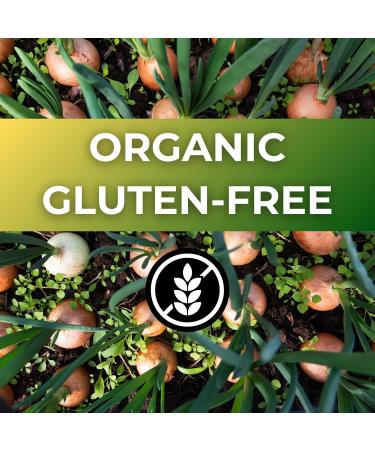 Onion Powder 200g Premium Quality Non-GMO Gluten-Free Finely Ground for Cooking Fries Seasoning and Marinades Rich Flavor and Aroma No Additives - Buy Online on GoSupps.com