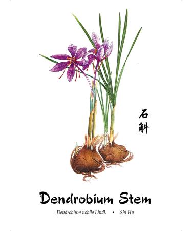 Dragon Herbs Primal Yin Replenisher 500 mg - 100 Vegetarian Capsules for Energy & Vitality - Buy Online on GoSupps.com