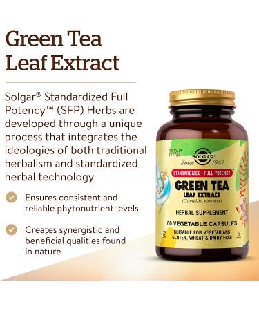 Solgar Green Tea Extract 60 Veg Capsules - Premium Antioxidant Supplement - Buy Online on GoSupps.com