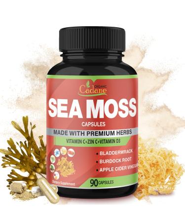 Organic Cadane Irish Sea Moss Extract Capsules - 9in1 with VitC VitD Bladderwrack Burdock Root Elderberry & More - Supports Immune System & Overall Health - 90Capsules