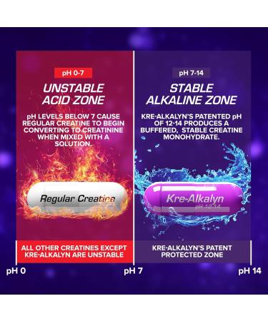 EFX Sports Kre-Alkalyn 240 Capsules - Powerful Muscle Performance & Recovery - Buy Online on GoSupps.com