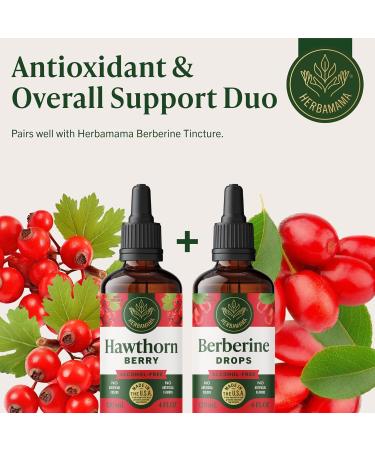 HERBAMAMA Hawthorn Berry Supplement Drops - Vegan Antioxidant & Overall Support with Hawthorn Tincture - Non-GMO Alcohol & Sugar-Free Liquid Fruit Extract 56-Day Supply 4 Fl Oz (Pack of 1) - Buy Online on GoSupps.com