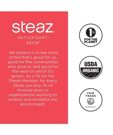 Steaz Organic Iced Green Tea Antioxidant Brew 16 OZ (Pack of 12) - Super Fruit Infused - Buy Online on GoSupps.com