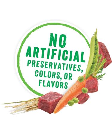 Purina Beneful High Protein Beef Stew Wet Dog Food - 8-Pack of 10 oz. Tubs - Buy Online on GoSupps.com