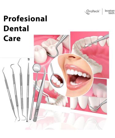 Premium Dental Care Instrument Set - 6 Stainless Steel Tools for Plaque & Tartar Removal - Ideal for Adults Children & Pets - Includes Case - Buy Online on GoSupps.com
