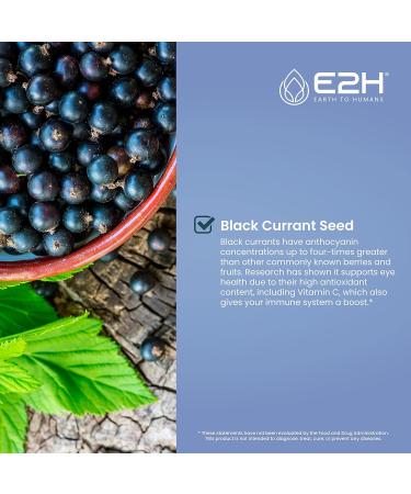 E2H Natural Black Currant Extract | Cold Pressed Seed Oil with Omega 6 GLA | Immune System Support | Fast Absorbing Liquid | 2 Fl Oz - Buy Online on GoSupps.com