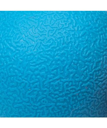 Amazon Basics Rubber Fetch Toy Dog Balls 6.35 cm (3-Pack) Blue Orange Standard Balls 6.35 cm (3-Pack) - Buy Online on GoSupps.com