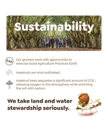 Oregon Orchard Natural Whole Hazelnuts 16oz Bag - Unsalted, Heart Healthy Snacks, Grown in Oregon - Keto-Friendly - Buy Online on GoSupps.com