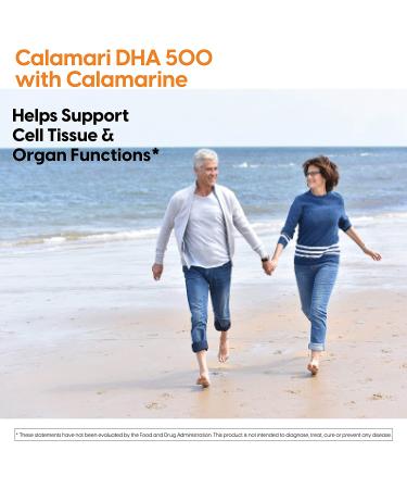 Buy Doctor's Best Calamari DHA 500 mg - 180 Softgels | Premium Omega-3 Support - Buy Online on GoSupps.com