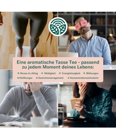 Monte Nativo Detox Natural Defense Tea - Loose Herbal Blend with Yerba Mate Oolong Guarana & Goji Berries - 160g for Hot & Iced Detoxification - 30 Days of Puretox - Buy Online on GoSupps.com