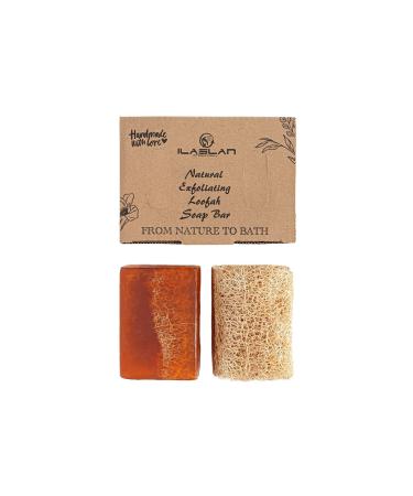 Honey Milk Soap | Natural Exfoliating Loofah Soap Bar | Handmade Soap for Face and Body Soap with Loofah Inside Luffa Soap Bar | Organic Bath Sponge for Men and Women Nourishing Hydrating HONEY & MILK