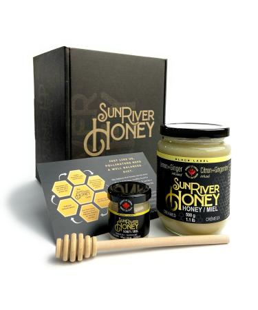 Sun River Honey Flavoured Infusions (Lemon Ginger Box Set (500g))