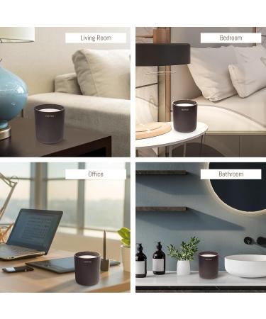 NAYCE Luxury Scented Candle - 100% Natural Soy Wax Aromatherapy - Made in USA - 14 oz Highly Scented Long Lasting Gift for Women - Suede Rose - Buy Online on GoSupps.com