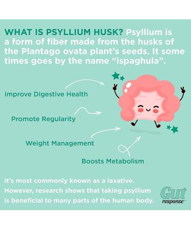 Gut Response CleanSweep Capsules - Natural Psyllium Seed Husk Fiber Supplement for Healthy Bowel Movements - 90 Capsules - Buy Online on GoSupps.com