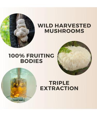 Manuka Mana Lions Mane Think Honey Tincture USA Wild Harvested Lions Mane Triple Extracted Tincture Manuka Honey (MGO 150+) 100% Fruiting Body 2 fl oz (60 Servings) - Buy Online on GoSupps.com