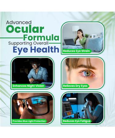 Vision Support Eye Vitamins for Macular Health | Supplements with Lutein Zinc Vitamin A & Bilberry | Areds 2 Formula for Red & Dry Eyes Sight Care (1 Bottle 60 Capsules) 60 Count (Pack of 1) - Buy Online on GoSupps.com