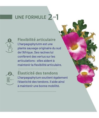 JUVAMINE - Articulations - Harpagophytum - Aide Maintenir la Flexibilit Articulaire et l'Elasticit des Tendons - Aide Maintenir une Bonne Mobilit - 30 Comprim s 30 unit (Lot de 1) - Buy Online on GoSupps.com