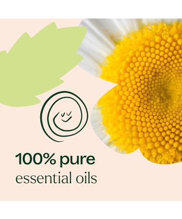 Plant Therapy KidSafe Tummy All Better Essential Oil Blend - 10 mL | 100% Pure Undiluted Therapeutic Grade | International Shipping Available - Buy Online on GoSupps.com