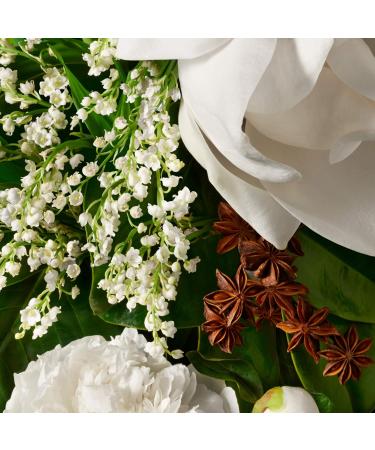 Molton Brown Dewy Lily Of The Valley and Star Anise Hand Cream 40 ml - Buy Online on GoSupps.com