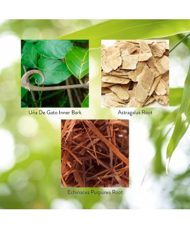 Nature's Sunshine Una de Gato (Cats Claw) 100 Capsules - Immune System Support & Digestive Health Herbs - Buy Online on GoSupps.com