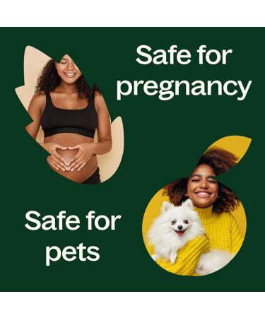 Plant Therapy Peppermint Western U.S. Essential Oil 10 mL (1/3 oz) 100% Pure Undiluted Aromatherapy Attention Focus and Cooling Relief 0.33 Fl Oz (Pack of 1) - Buy Online on GoSupps.com