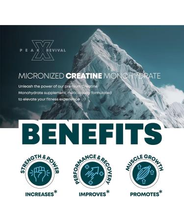 Performance Micronized Creatine Monohydrate Powder - 5000mg 100 Servings Unflavored Gluten Free Non-GMO Vegan - International Shipping Available - Buy Online on GoSupps.com