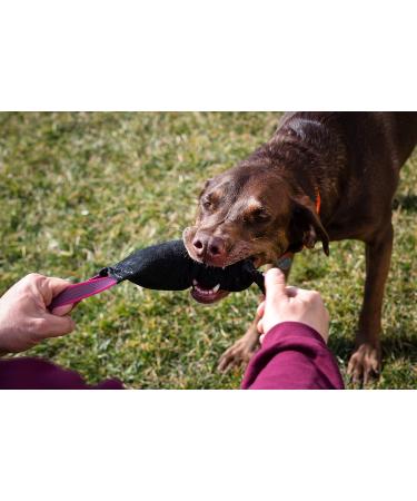 Buy Julius-K9 Leather Bite Sausage - 25cm x 5.5cm with Two Hand Loops | International Shipping - Buy Online on GoSupps.com