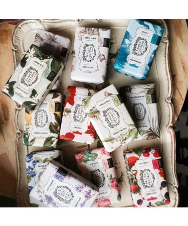 Buy Bread the Sens Kirschbl ten Hand & Body Soap - 97% Natural Ingredients - Luxurious Body Care for Men & Women - Artisan Made in France - 2x200g - Buy Online on GoSupps.com