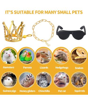 Keymall Bearded Dragon Accessories Set Including Crown Necklace Sunglasses with Adjustable Elastic Chin Strap Reptile Clothes Lizards Gecko Chameleon Iguana Frogs for Photo Props Birthday Gift - Buy Online on GoSupps.com