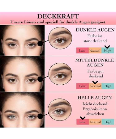 El Amore Paradise Colored Contact Lenses - Dark Gray Green Monthly Lenses for Dark Eyes - 6 Months Duration - 1 Pair - Buy Online on GoSupps.com