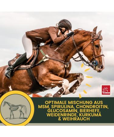 MSM Horse Willow Bark Horse Equi P Vitamin Paste Plus Glucosamine Chondroitin High Dose Horse Vitamin C Brewer's Yeast - Musculoskeletal System Joints Tendons Ligaments Cartilage 1pc - Buy Online on GoSupps.com