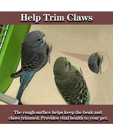 Gravel Liner Paper for Bird Cage | 11 x 17 inch 30 Pack | Calcium Bedding for Birds in Sea Sand - Buy Online on GoSupps.com