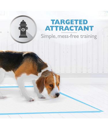 Four Paws Wee-Wee Gigantic XL Pee Pads - 18 Count | Absorbent 6-Layer Technology for Training Dogs & Puppies | Leak-Proof & 24 Hour Protection - Buy Online on GoSupps.com