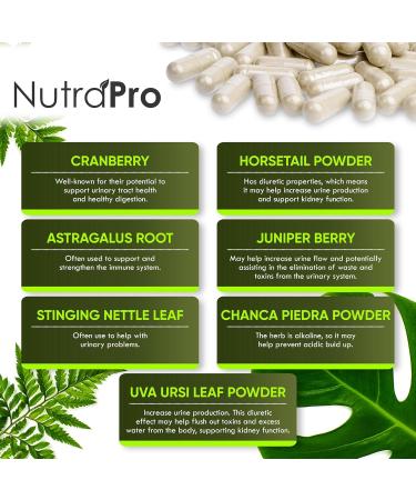 Buy Kidney Cleanse Detox & Repair Supplement | Bladder Support with Chanca Piedra Cranberry & Juniper Berries - 60 Day Supply - Buy Online on GoSupps.com