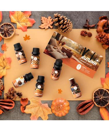 SoulOrigin Autumn Essential Oils Set Fragrance Oil Gift Set for Oil Diffusers for Home Soap Candle Making Scents 6x10ml - Pumpkin Spice Nutmeg Apple Pie Autumn Harvest Cinnamon and Maple Syrup - Buy Online on GoSupps.com