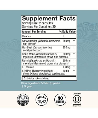 Host Defense MycoBenefits Mood* Capsules - Healthy Mind Support with Lion's Mane L-Theanine & Ashwagandha - Relaxing & Calming Supplement - 60 Capsules (30 Servings)* - Buy Online on GoSupps.com