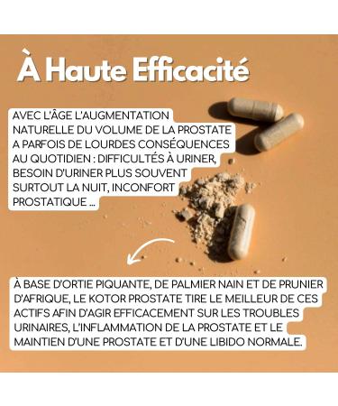 KOTOR PROSTATE | Urinary Disorders BPH Frequent Urge to Urinate | Natural & French Complex | Stinging Nettle + Dwarf Palm + African Plum | 60 Capsules | 1 Month - Buy Online on GoSupps.com