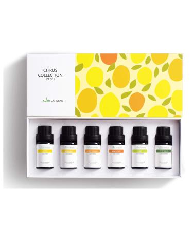 Citrus Essential Oil Set - Pack of 6 10ml Pure Therapeutic Grade Fruity Essential Oils includes Lemon Grapefruit Sweet Orange Lime Bergamot and Petitgrain