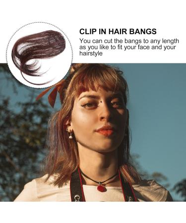 FOMIYES Piece Cosplay Clip on Air Bangs for Women wigs with bangs clip on bangs black Fake Ponytail clip in bangs real human fake bangs side bangs human hair bangs hair clip conjoined Miss Dark Brown - Buy Online on GoSupps.com