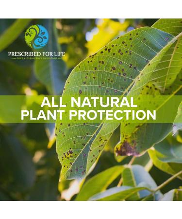 Potassium Bicarbonate Powder - Pure USP & Food Grade for Plants, Winemaking, Baking - 39% K - 1lb Pack - Buy Online on GoSupps.com