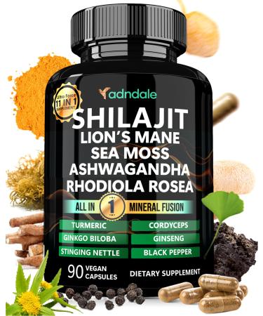 Adndale Shilajit for Men and Women. Pure Himalayan Organic Shilajit Capsules with Sea Moss Ashwagandha Rhodiola Rosea Lion s Mane. 90 Count