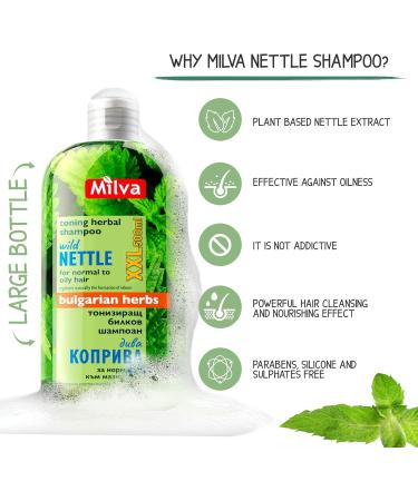 Milva Shampoo for Oily Hair with Nettle Extract - 500 ml Natural Shampoo - Oil-Reducing and Anti-Dandruff Shampoo for Men and Women - Care for Oily Hair - Volume & Shine Shampoo - Buy Online on GoSupps.com