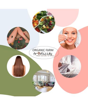 Made in France Organic Melissa flower water tonic lotion for all skin types facial firming hydrosol air purifier for home 250 ml - Buy Online on GoSupps.com