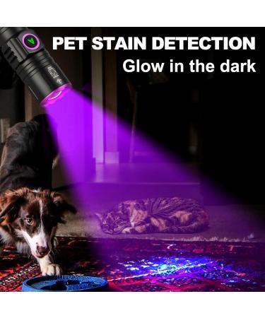 ULTRAFIRE UV 395nm Torch - USB Rechargeable Powerful Ultraviolet LED Black Light Ideal for Resin Curing/Scorpion Detection/Fluorescent Discovery/Pet Urine Disclosure - Pack of 2 - Buy Online on GoSupps.com