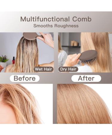 Joi-Fun 2 Pack Mini Travel Hairbrush Set for All Hair Types - Detangle with Ease, No Tears or Breakage - Black - Buy Online on GoSupps.com