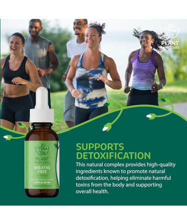 Plant Stem Cells Gemmotherapy Breathe Free | Embryonic Buds from Black Elderberry Black Poplar Horsetail & Hazel | Respiratory Support for Congestion Coughing & Mucus Reduction for Men & Women - Buy Online on GoSupps.com